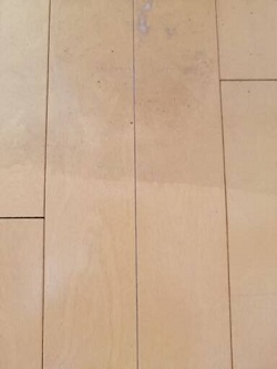 床のワックスを剥がす